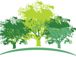 Assistenza 24 ore su 24